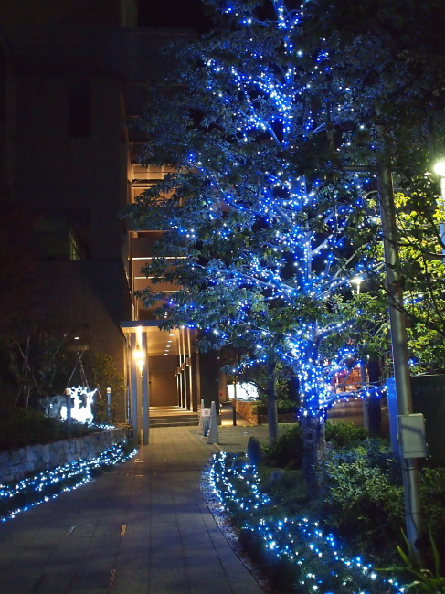 c0117831_2205522.jpg