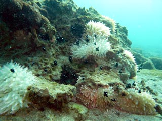 2012年12月23日(日・晴れ)甲浦_d0164831_17151934.jpg