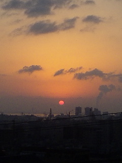 e0106631_1446995.jpg
