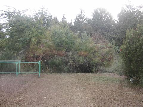 e0125131_20232048.jpg