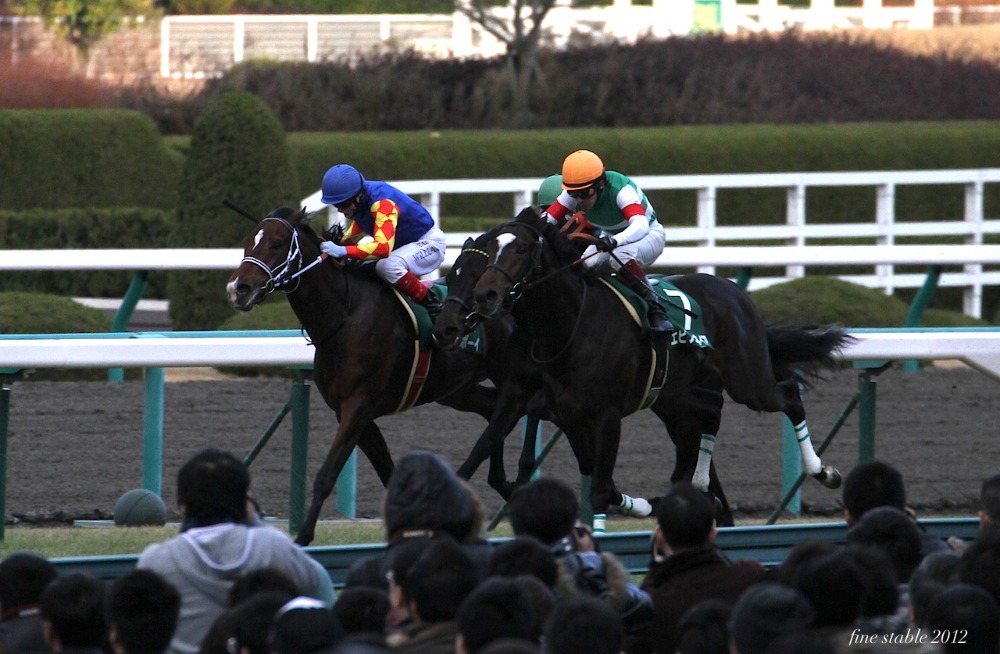c0240132_74267.jpg