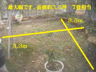 現地調査とアクティ君手入れ_f0031037_194321.jpg