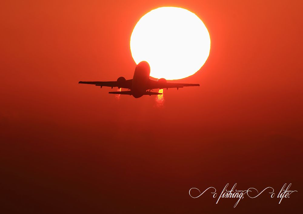 くまもん空港　3_b0254140_23282678.jpg