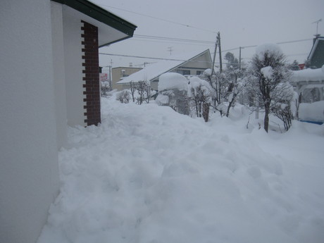 早くも凄い雪の庭とお家ご飯_a0279743_11371161.jpg