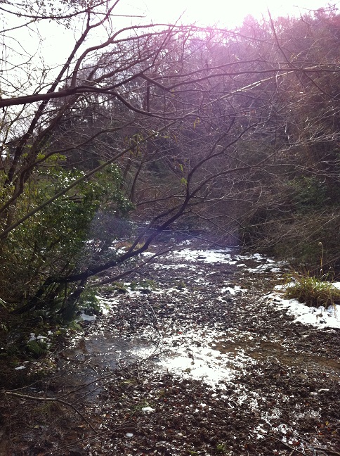 c0059543_16214868.jpg