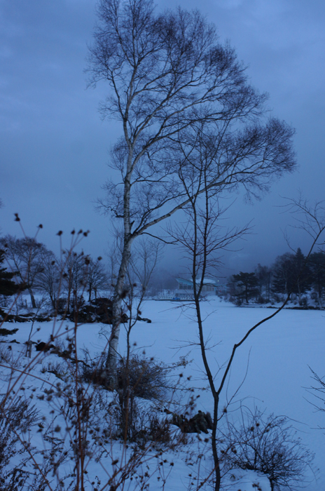 c0035245_15817.jpg