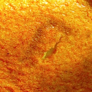 c0109850_1641485.jpg