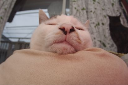 何かが足りない_a0028451_10514471.jpg
