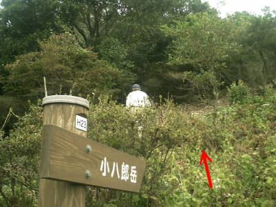 e0033751_12242831.jpg