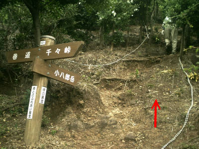 e0033751_12253825.jpg