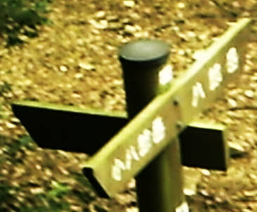 e0033751_12403676.jpg