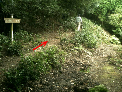 e0033751_12454658.jpg