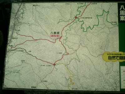 e0033751_1375873.jpg