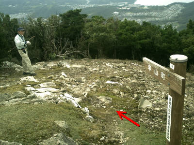 e0033751_162015.jpg