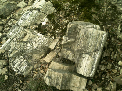 e0033751_16205738.jpg