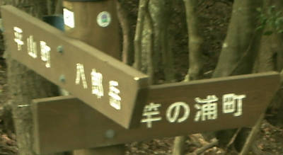e0033751_16332183.jpg