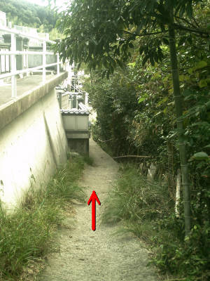 e0033751_16505593.jpg