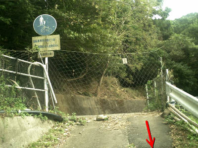 e0033751_1912670.jpg
