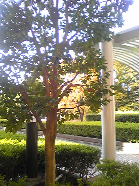 d0289252_1361362.jpg