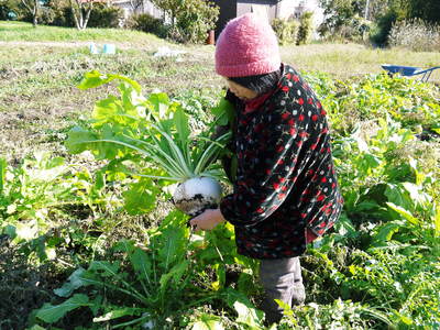 6種の野菜をふんだんに使ってミネステローネ_a0254656_1855226.jpg