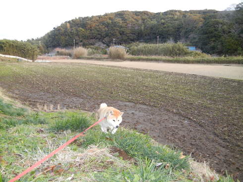 ’12,12,23(日)クリスマスのイブ・イブ!_f0060461_18561069.jpg
