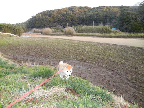 ’１２，１２，２３（日）クリスマスのイブ・イブ！_f0060461_18561069.jpg