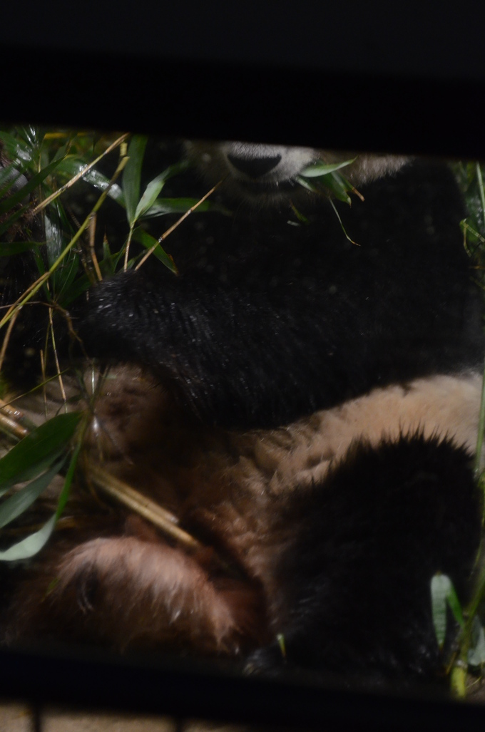b0286966_22125510.jpg