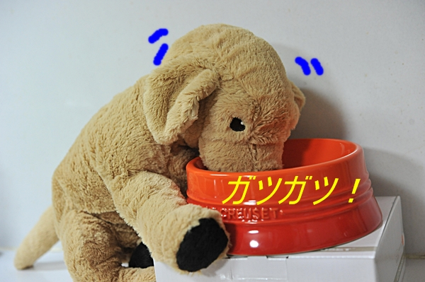 e0020166_1261779.jpg