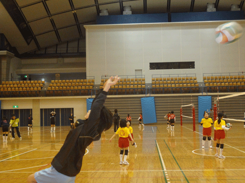 橋本_c0000970_2134713.gif
