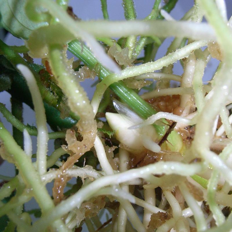 d0249970_3405842.jpg
