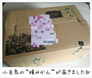 f0168374_029166.png