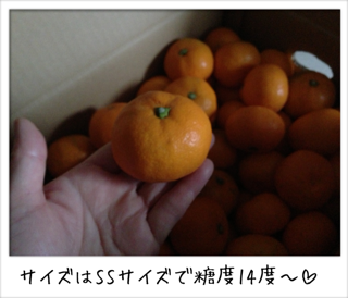 f0168374_0292934.png