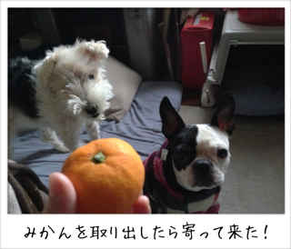 f0168374_029434.png