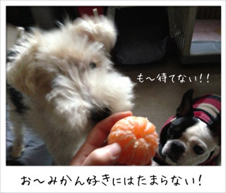 f0168374_0295538.png