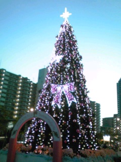 b0245782_22384940.jpg