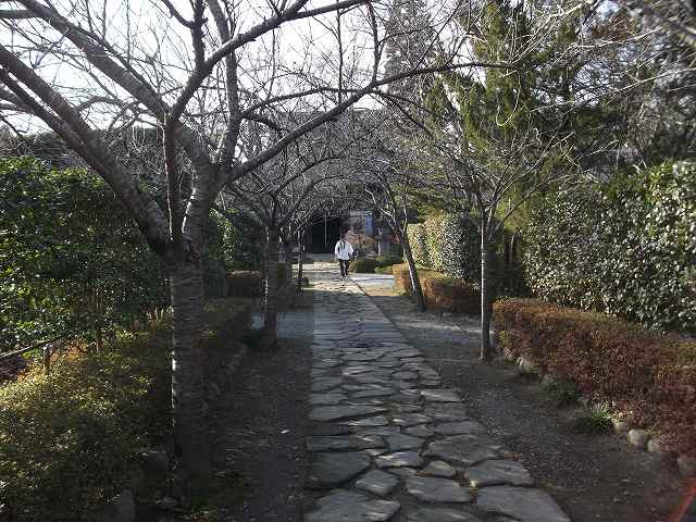 c0212083_23223117.jpg