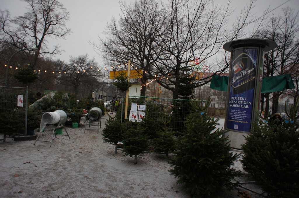 Berlin,また雪!_c0180686_22115037.jpg