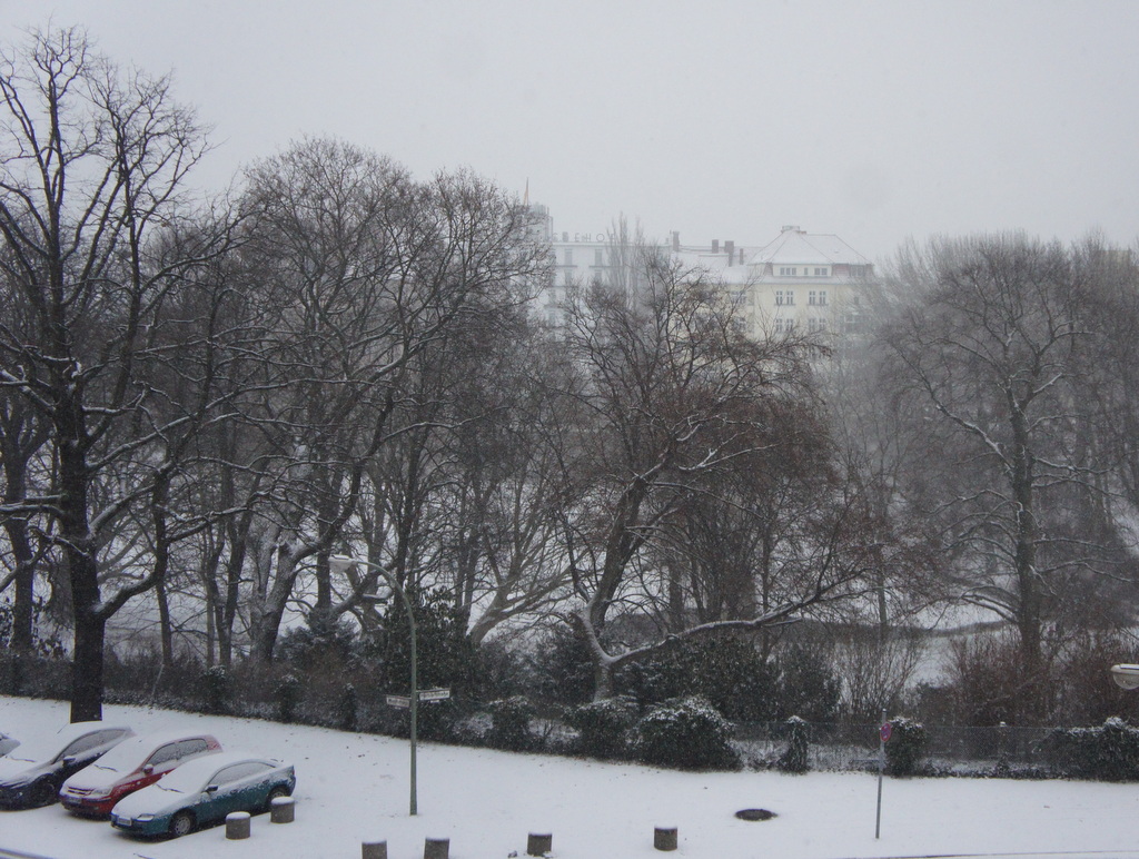 Berlin,また雪!_c0180686_22182223.jpg
