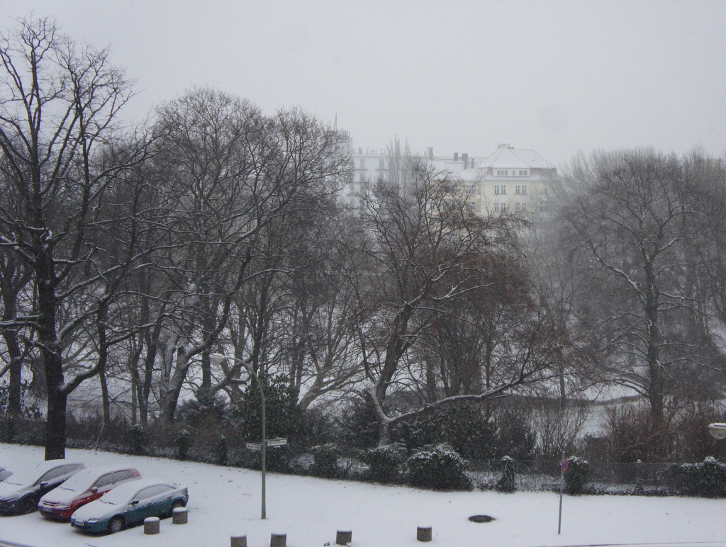 Berlin，また雪！_c0180686_22182223.jpg