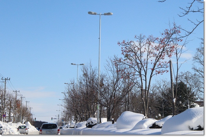 f0146493_11375410.jpg