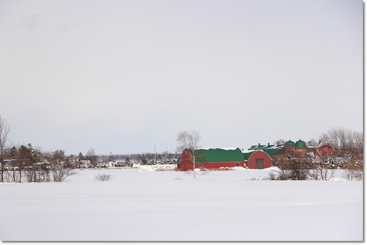 f0146493_11401580.jpg