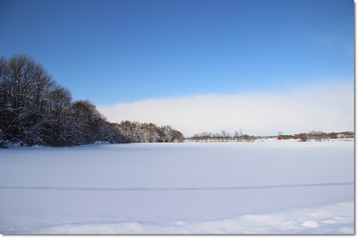 f0146493_1140950.jpg