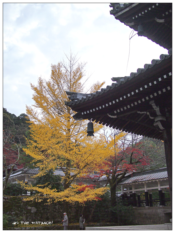 京都で紅葉　其の四/～南禅寺の紅葉～_e0025695_0313795.jpg