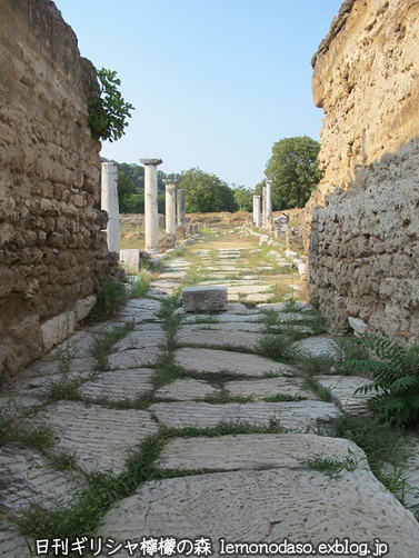 c0010496_23351037.jpg
