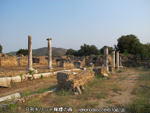 c0010496_23354320.jpg