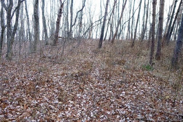 e0137200_16514338.jpg