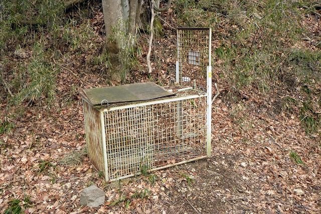 e0137200_16562542.jpg