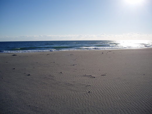 c0183801_1104237.jpg