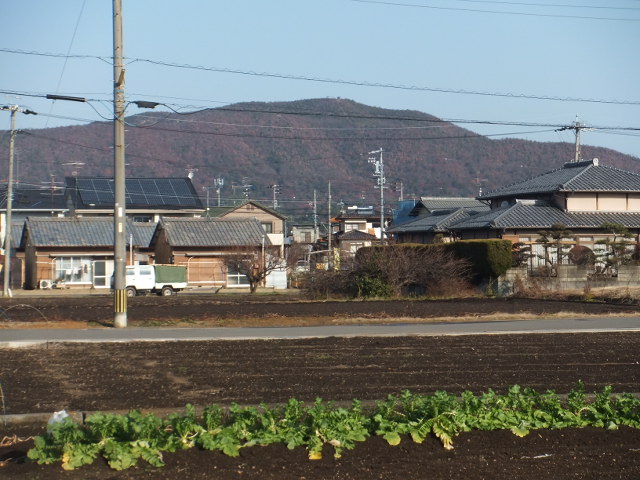 各務ヶ原権現山 かがみがはらごんげんやま テッキーの山歩き 各務ヶ原権現山 かがみがはらごんげんやま テッキーの山歩き