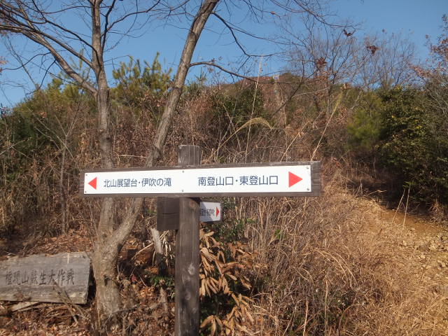 a0271502_1712236.jpg